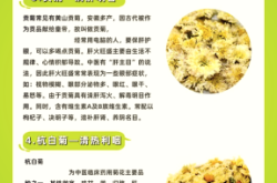 赤峰金盞菊批發(fā)花茶電話號(hào)碼