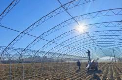 赤峰春棚出租最新信息電話號碼