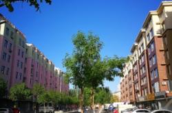 赤峰紅山繪本館電話號(hào)碼查詢