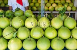 赤峰萬達柚子店電話地址查詢