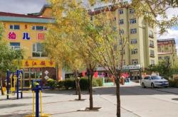 赤峰出售鹿犬電話號碼多少