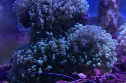 赤峰鑫源水族館電話號(hào)碼