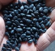 赤峰皮凍批發(fā)電話地址查詢