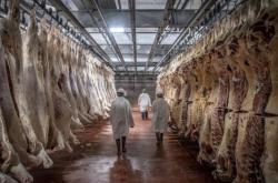 赤峰華興貂皮加工廠電話號碼