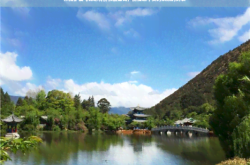 赤峰到中衛(wèi)機(jī)票查詢電話號碼