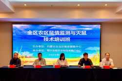 赤峰崗前培訓(xùn)中心電話號碼