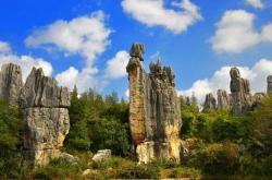 赤峰阿旗天地人家電話號碼