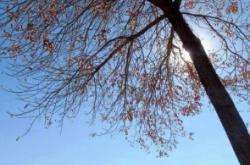 張家灣到赤峰班車電話號(hào)碼