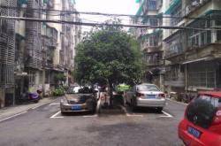 赤峰龍熙園小區(qū)物業(yè)電話(huà)號(hào)碼