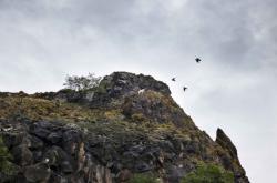 赤峰科奧月餅店地址電話號(hào)碼