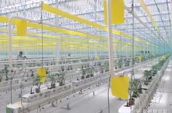 赤峰定制營(yíng)養(yǎng)土廠家電話號(hào)碼