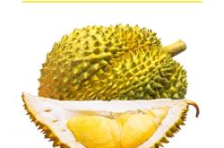 赤峰同城賣榴蓮電話號碼多少