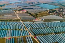 赤峰豆腐渣廠老板的電話是多少