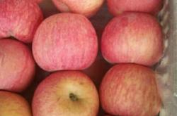 赤峰散貨冷庫電話號(hào)碼多少號(hào)