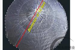 赤峰魚網(wǎng)廠批發(fā)電話號(hào)碼多少