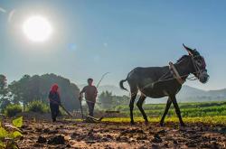 赤峰賣荷葉雞的地方電話號(hào)碼