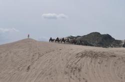 赤峰天醇煙酒店電話地址查詢