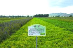 赤峰到牛家營子小車電話號碼