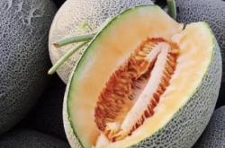 赤峰蔬果批發(fā)市場電話號(hào)碼