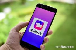 赤峰跑花小豬公司電話號(hào)碼