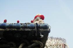 赤峰花板造紙廠電話號碼