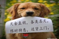 赤峰好運犬業(yè)電話號碼查詢