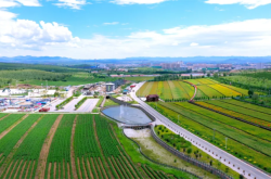 赤峰林西主題樂園電話號碼