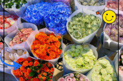 赤峰鮮花批發(fā)市場電話