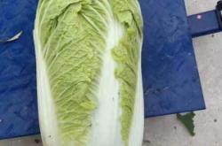 赤峰收干白菜的電話地址是多少