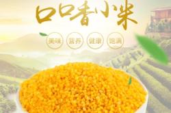 赤峰天山雜糧店電話多少號(hào)