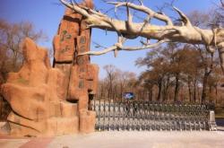 承德到赤峰的客車的電話號碼