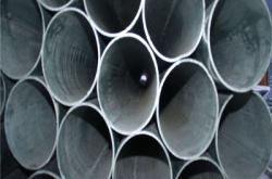 赤峰肉牛牛蹄廠家電話號碼