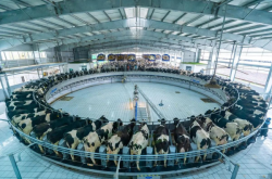 赤峰蒙帝紋繡店電話號碼