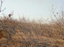 赤峰乃林病毒防控電話號碼