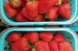 赤峰肥料葉面肥銷售電話號碼