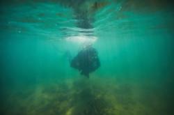 赤峰橋北水族館地址電話號碼