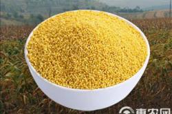 赤峰貝子府小米店電話號(hào)碼查詢