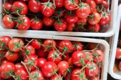 赤峰大廟粉果店電話多少號