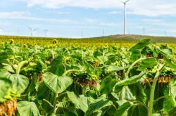 赤峰綠雕供應商電話號碼