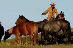 赤峰修馬蹄子電話是多少號