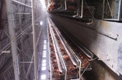 赤峰批發(fā)雞蛋電話多少號碼