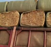 赤峰牧草批發(fā)電話號(hào)碼多少