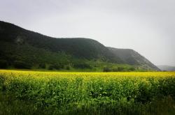 赤峰元寶山磚廠電話