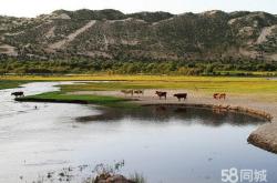 赤峰銷售滑沙板電話地址查詢