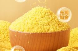 赤峰小米家電電話多少啊