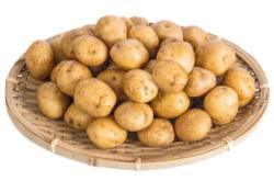 赤峰淀粉廠收小土豆價(jià)格