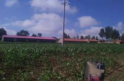 赤峰市敖漢旗長(zhǎng)生鎮(zhèn)電話號(hào)碼