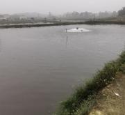 赤峰觀賞魚苗批發(fā)電話號碼