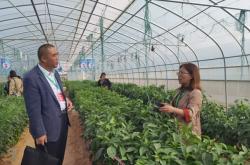 赤峰蔬菜代銷電話號(hào)碼查詢