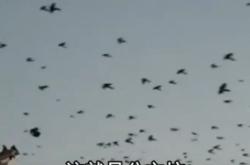 內蒙赤峰鞭炮廠電話多少號